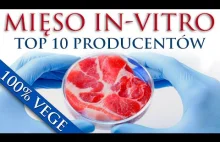 TOP 10 Producentów sztucznego mięsa i inne produkty jutra