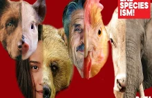PETA przeciwko angielskim obelgom ze zwierzętami ⋆ Blog ⋆