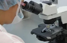 Naukowiec z Hamburga: koronawirus pochodzi z laboratorium w Wuhan