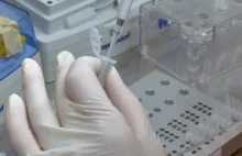 Białystok: naukowcy potwierdzili nowy wariant koronawirusa. Mutacja podlaska?