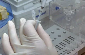 Białystok: naukowcy potwierdzili nowy wariant koronawirusa. Mutacja podlaska?