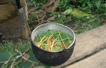 Badania: Antydepresyjne działanie ayahuaski związane z redukcją stanu zapalnego
