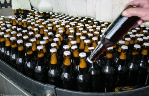 PiS sonduje, czy Polacy zgodzą się na gigantyczną podwyżkę cen piwa.