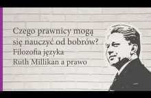 Czego prawnicy mogą nauczyć się od bobrów? Bobrze ogony a język prawa