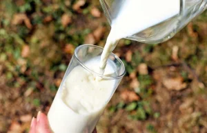 Rusza mleczny szlak z Polski do Kazachstanu