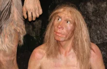 Neandertalczycy wyginęli przez przebiegunowanie Ziemi? Nowe badania