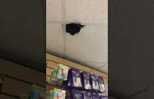 Nowa kamera monitorująca w sklepie