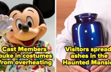 Pracownicy Disneylandu zdradzają sekrety swojej pracy [eng]