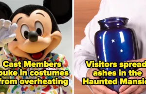 Pracownicy Disneylandu zdradzają sekrety swojej pracy [eng]