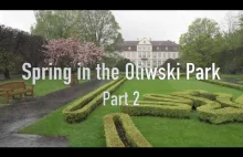 Spacer w deszczu, Park Oliwski w Gdańsku | 4K
