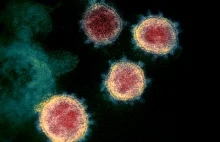 Kolejna groźna mutacja koronawirusa. Czy to się wreszcie kiedyś skończy?