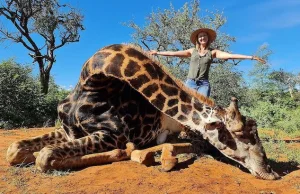 Kobieta pozuje z sercem zabitej żyrafy na Walentynki