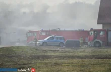 Pożar kurnika w Kosinach Starych. Udusiło się ponad 60 tys. kurczaków