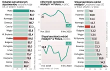 Co szósty absolwent w Polsce pozostaje bez pracy