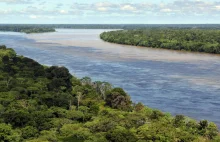 Tereny lasów deszczowych Amazonii sprzedawane na internetowych aukcjach