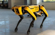 Jak pokonać psa-robota Boston Dynamics? Internauci wskazują słabe punkty Spota