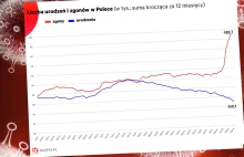 Złe dane z porodówek w Polsce. Wyrwa demograficzna? Przeradza się w przepaść