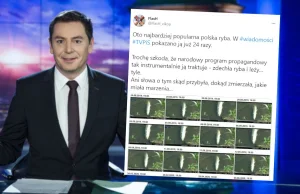 Sukces śniętego szczupaka. Został gwiazdą Wiadomości TVP