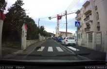 Ten kot wie, jak przejść przez ulicę