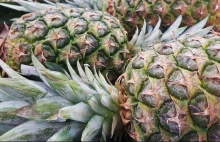 Chiny wprowadziły zakaz importu tajwańskich ananasów