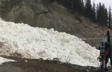 Lawina mokrego śniegu
