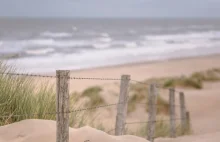 USA: Pokłócił się z żoną. Chciał ją zakopać żywcem na plaży