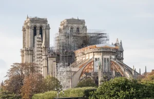 Do odbudowy iglicy Notre Dame potrzeba 1000 dwustuletnich dębów