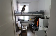 Opisała, jak się mieszka na 9 m2 z kotem. "Płacę tylko 1000 zł"