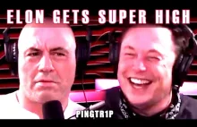 Elon Musk vs Joe Rogan