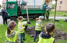 Faceci pracują, laski się przyglądają - a to tylko lekcja ekologii