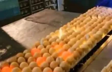 Świecowanie jajek