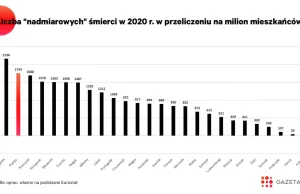 Wykres, którego nie zobaczycie w Wiadomościach