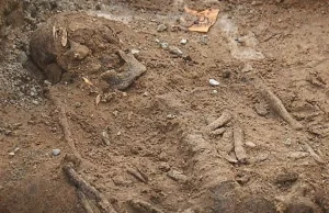 Znaleźli szczątki z czasów pierwszych Piastów. Kolejne odkrycie na...