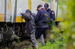 Graficiarze dewastujący pociągi zatrzymani na gorącym uczynku