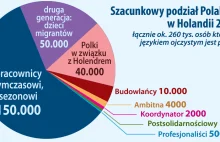 Kim są Polacy w Holandii?