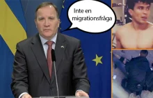 Premier Szwecji nie widzi związku m-dzy atakiem afgańskiego nożownika a migracją