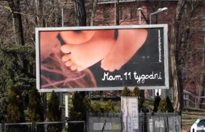 Antyaborcyjne billboardy, czyli jak wydać pieniądze myśląc, że się pomaga