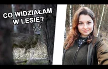 Spacer po lubuskich lasach-przedwiośnie, zwierzęta i fotopułapka WomanFromForest