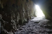 Co wiemy o neandertalczykach odkrytych w Jaskini Stajnia?