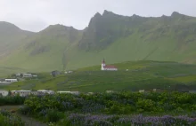 Skromna, zielona wyspa - o islandzkiej florze słów kilka