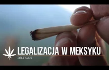 Meksyk legalizuje marihuanę! Można mieć przy sobie do 28 gramów suszu