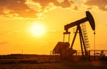 OPEC: Wzrost popytu na ropę naftową odbije dopiero w drugiej połowie 2021 roku.