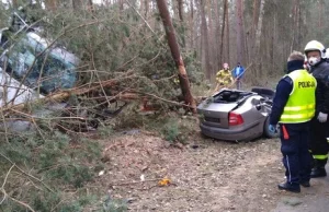 20–latek rozpołowił skodę o drzewo (ZDJĘCIA)