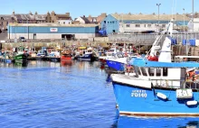 83% spadek obrotów w Brytyjskim rybołówstwie.