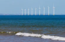 Litwa proponuje Polsce wspólne budowanie farm wiatrowych na Bałtyku