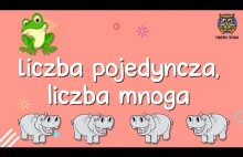 Liczba pojedyncza, liczba mnoga