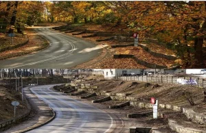 Bystrzyca Kłodzka - dolnośląskie. Bezsensowna wycinka drzew.