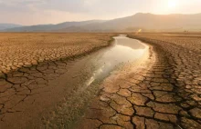 Największe susze w Europie od 2 tys. lat a Polska Gospodarka Wodna nie istnieje.