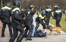 Holandia: Policja brutalnie stłumiła protest przeciwko obostrzeniom