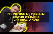 Kaczyński nie dba o kota, behawiorysta wyjaśnia